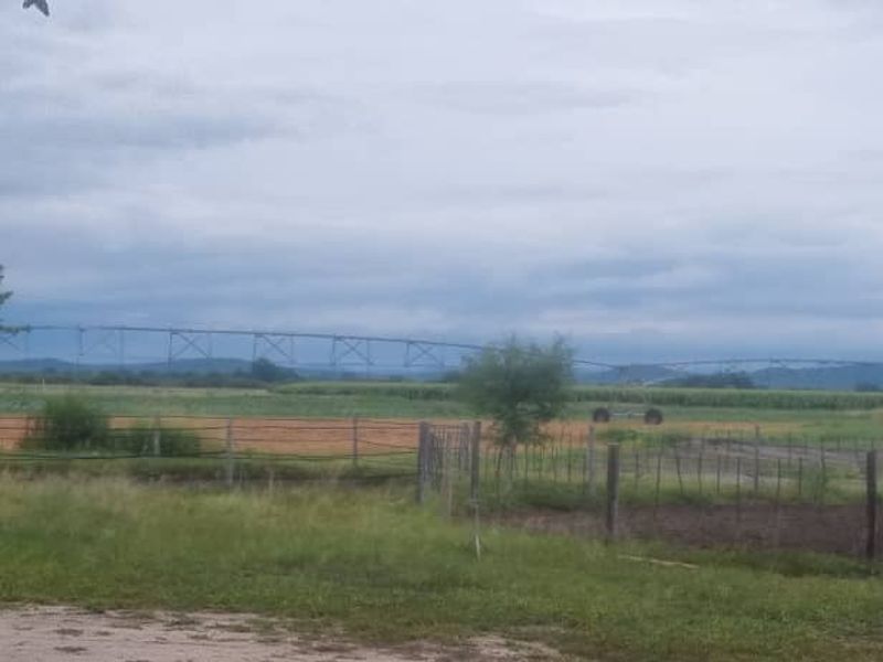 Irrigation Small Holding For Sale in Tsumeb Area - Photo 7