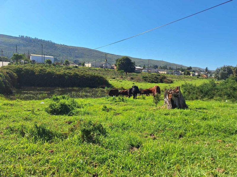 Somewhere Dreamy - Photo 9