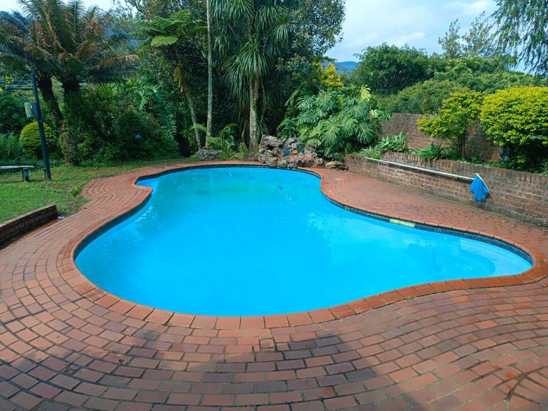 A ONE-OF-A-KIND SANCTUARY HOME IN SERENE MONTROSE - Photo 8