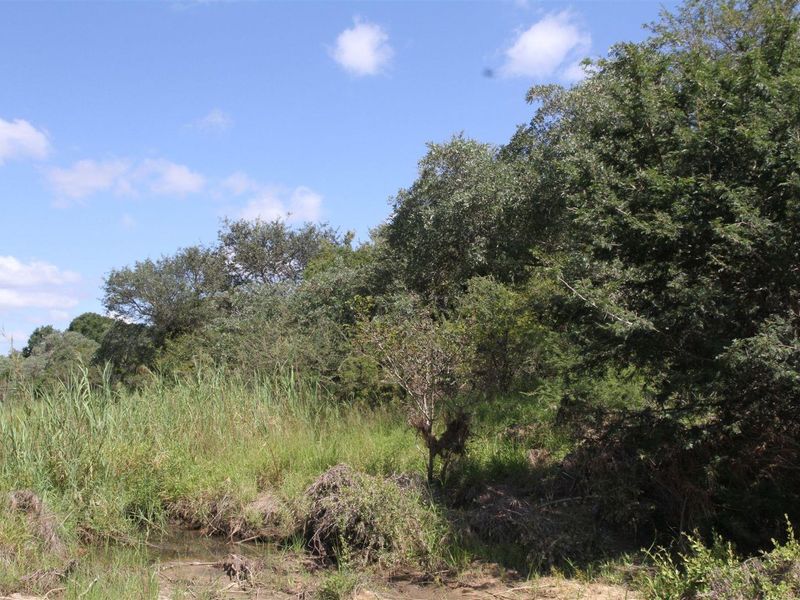 Vacant stand for Sale - Photo 10