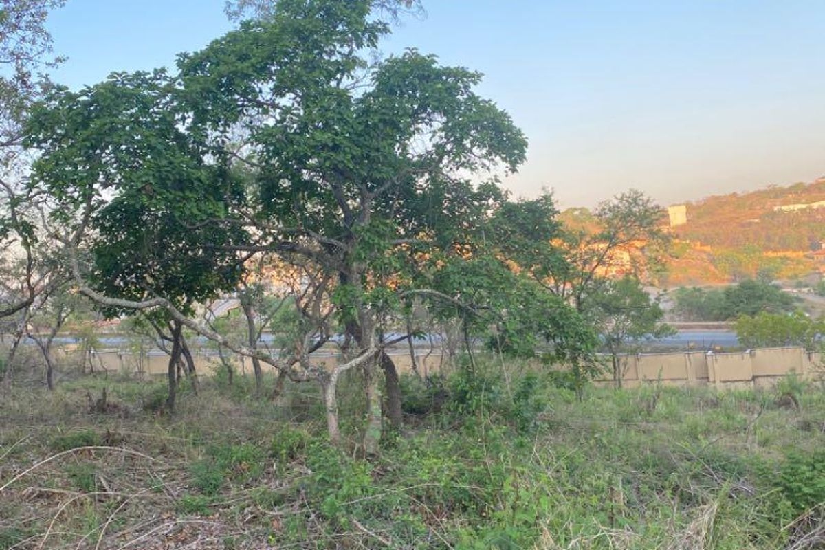 Stunning big stand for sale in Ridge Hill Estate - Photo 3