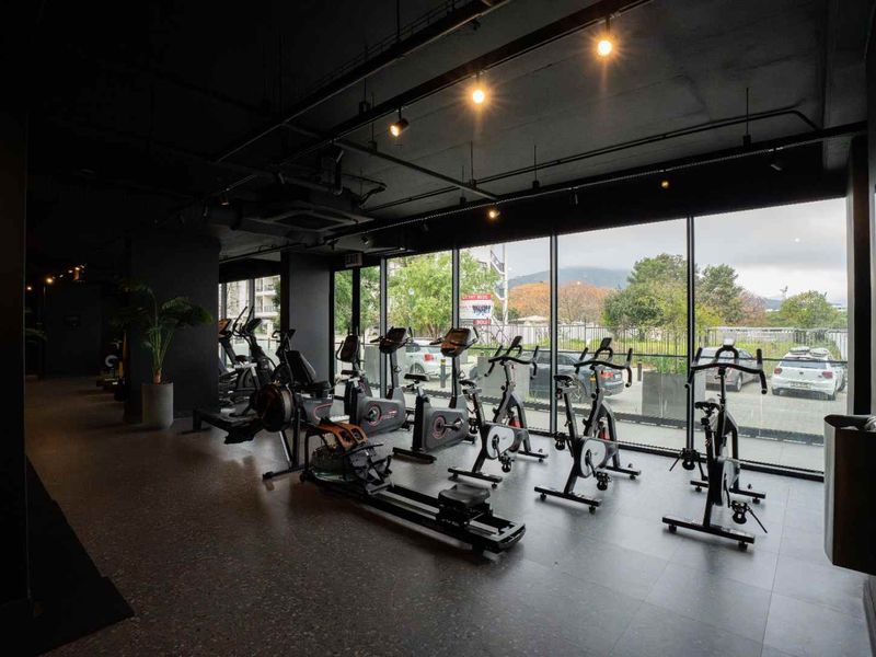 Modern gym facility featuring floor-to-ceiling windows, exposed industrial-style ceiling with track lighting, and durable tiled flooring.
