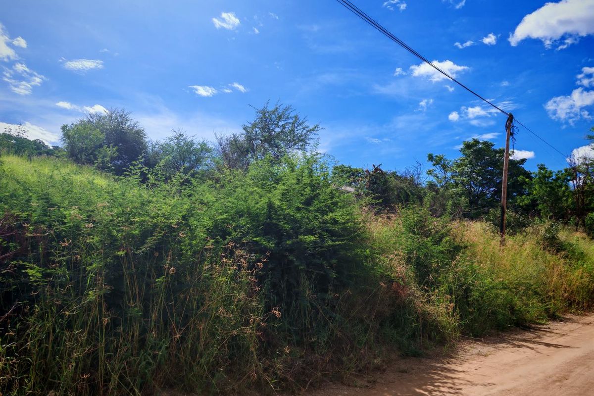 Prime Vacant Stand For Sale - Photo 3