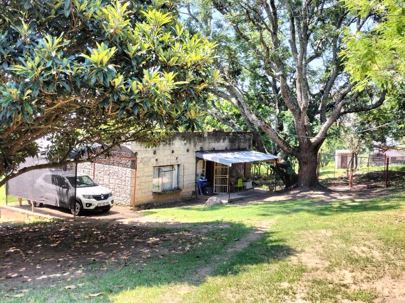 Small holding on the Clarmont road - Photo 10