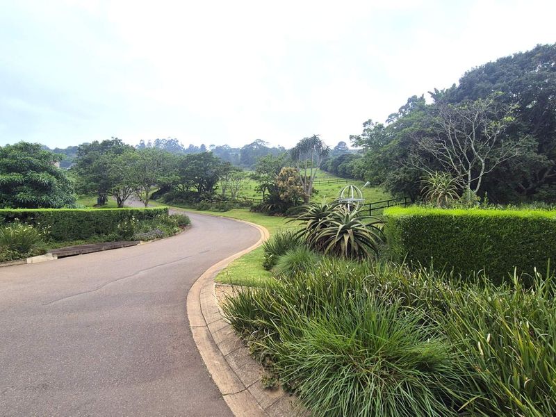 A well-maintained asphalt driveway curves through a lush, landscaped residential estate with mature trees and manicured hedging.