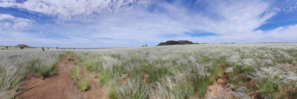 View of the field after the rain. 