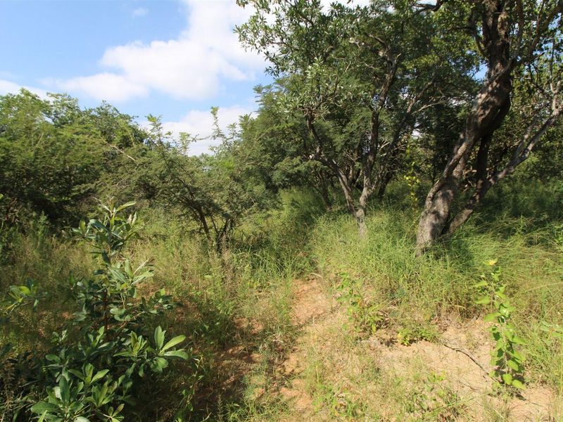 A view of the vacant residential land featuring established trees and natural vegetation, offering a private and tranquil setting for future development.