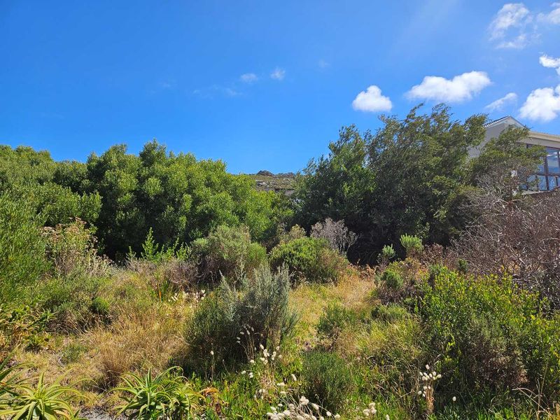 600m2 Vacant Land for Sale in Pringle Bay - Photo 5