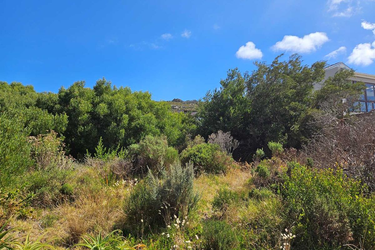 600m2 Vacant Land for Sale in Pringle Bay - Photo 5