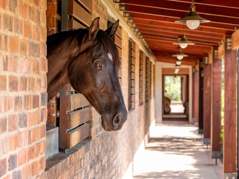 A well-maintained stable corridor featuring exposed brick walls, timber structural beams, and overhead pendant lighting along a concrete walkway.