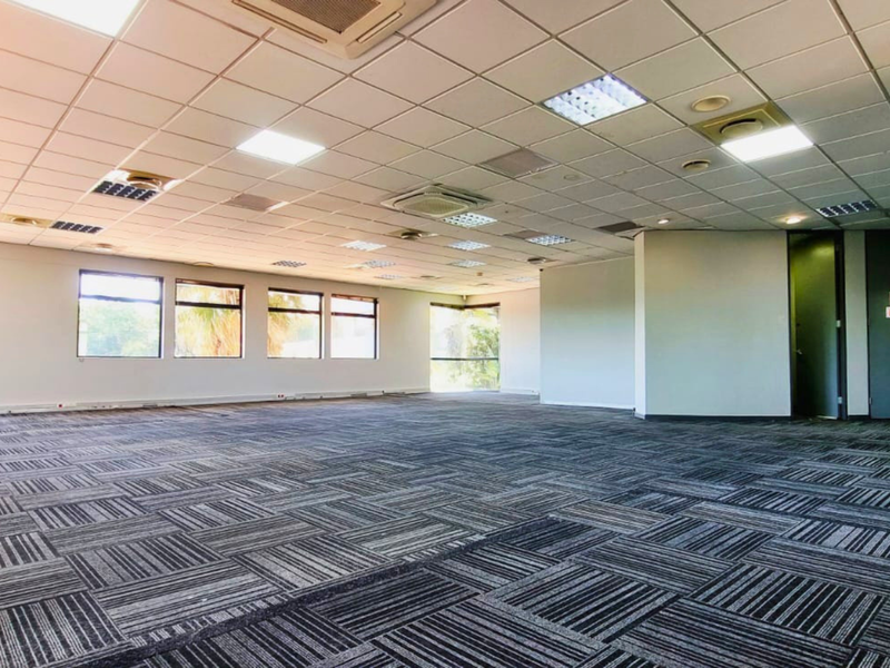A spacious, open-plan office area featuring a suspended ceiling with recessed lighting, central air conditioning, and durable carpet tile flooring.
