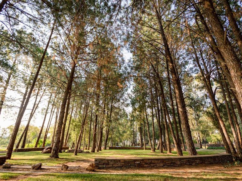 Build Your Dream Home in Eye of Africa! Vacant land with HOA approved plans - Photo 10