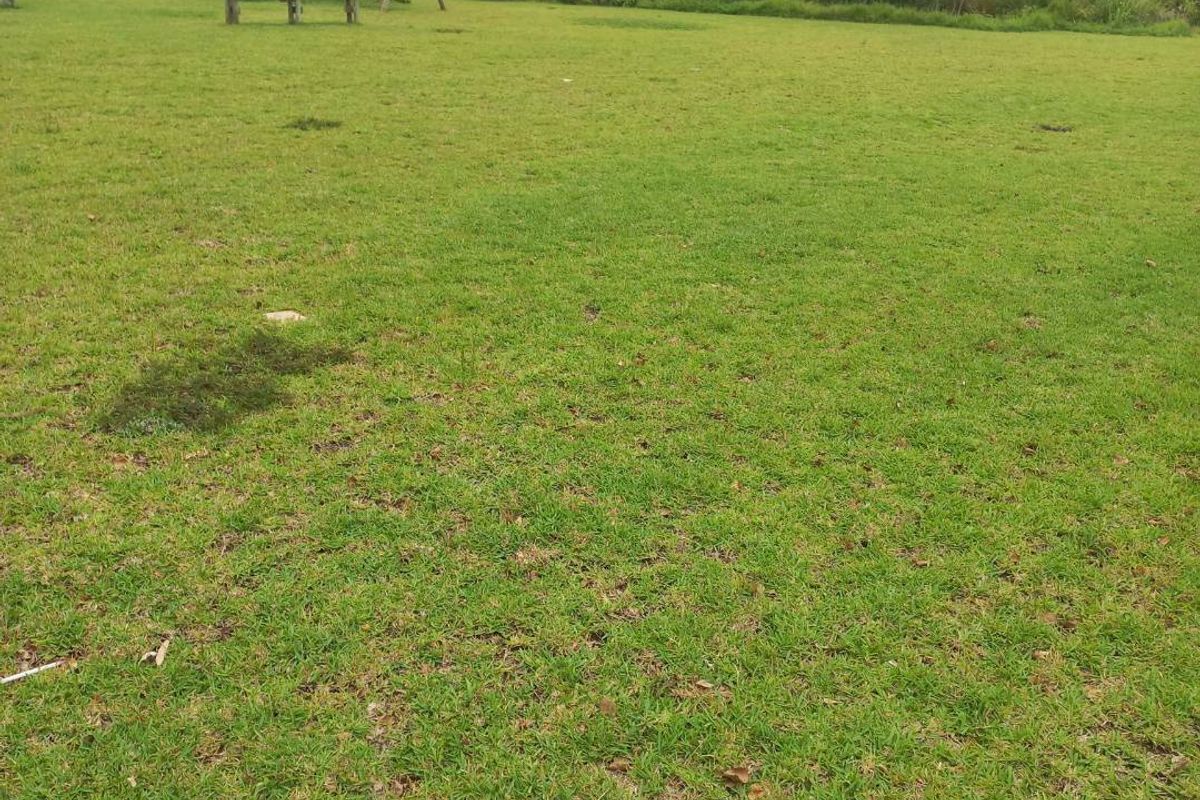 Newly Built 2-Bedroom Fully Furnished Apartment, Zimbali Lakes Estate - Photo 4