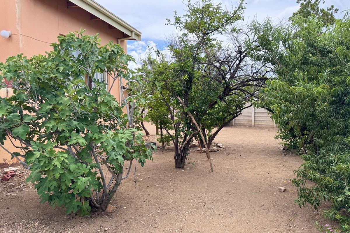 A view of the rear garden area featuring established fruit trees and a concrete boundary wall, adjacent to the exterior wall of the house.