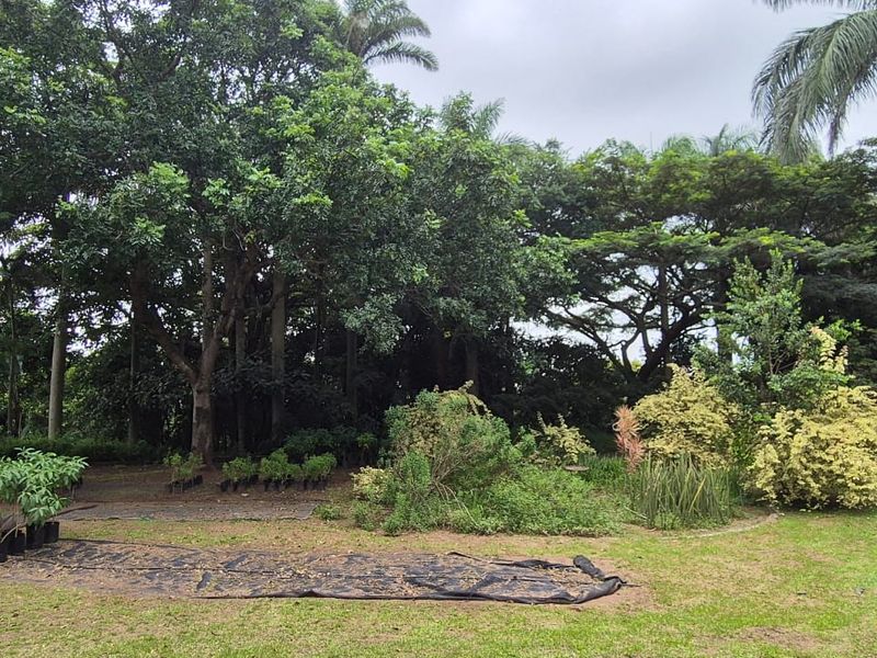 Farm in Rural Ballito - Photo 10