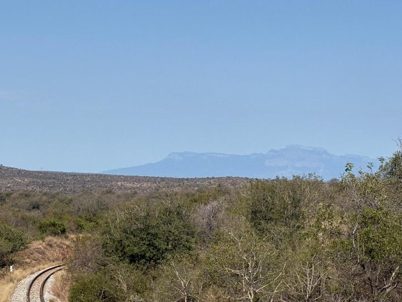 Boutique Farm in the Hoedspruit Area - Photo 7