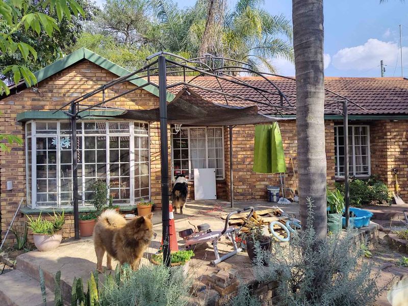 For the First-Time Buyer: The Ultimate Sweat-Equity Canvas - Photo 1