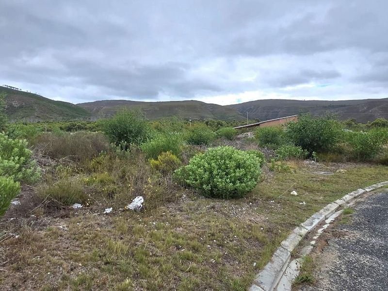 Level 924m2 Land in Peaceful Franskraal – Perfect Investment Opportunity. - Photo 5