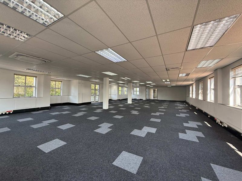 Spacious open-plan office area featuring suspended ceilings, recessed lighting, carpet tiles, and perimeter trunking, offering a clean and functional workspace.