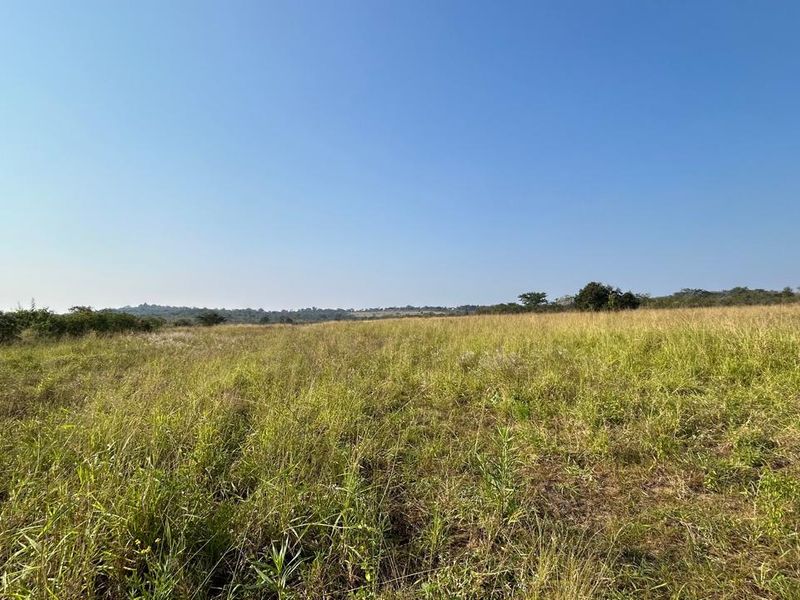 21 ha Mixed-Production Farm with Strong Water Availability - Photo 2