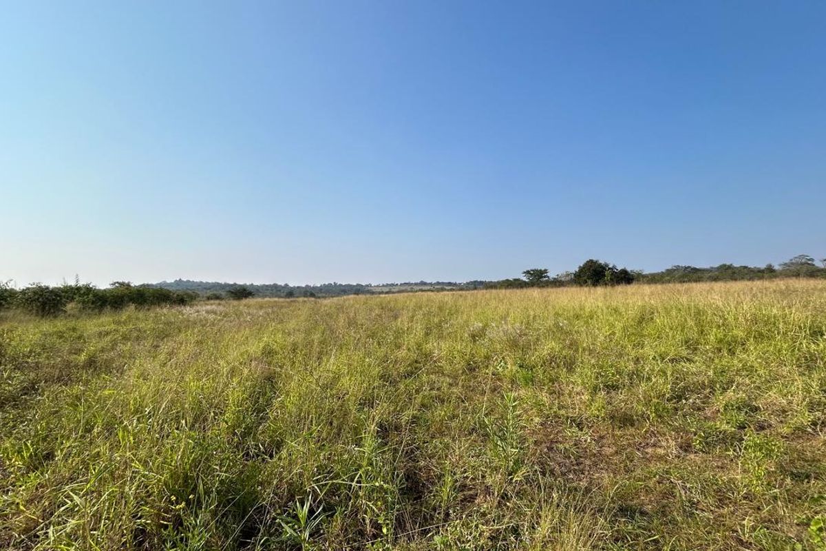 21 ha Mixed-Production Farm with Strong Water Availability - Photo 2