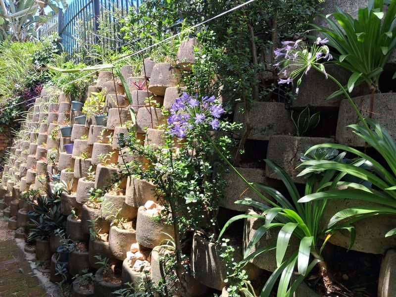 A tiered garden area featuring a structured retaining wall built with concrete planter blocks and established greenery.