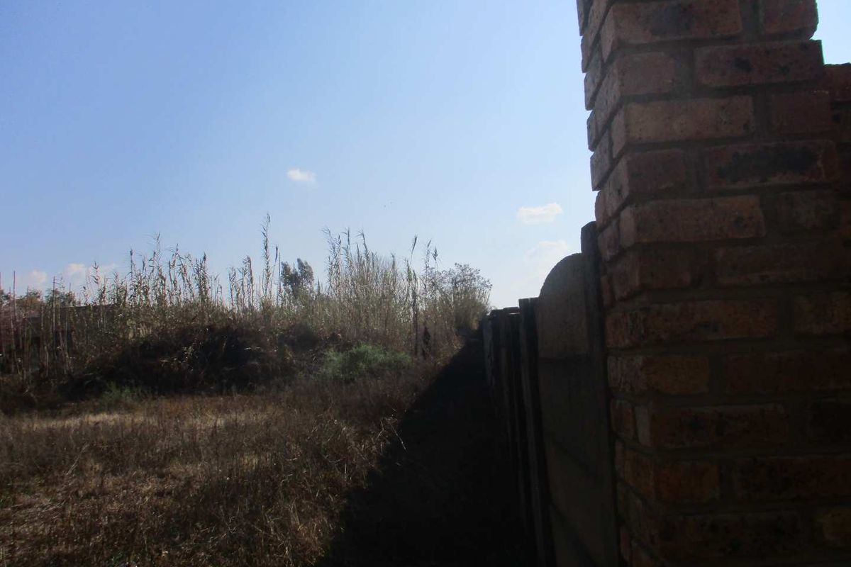 A view of the rear boundary of the vacant residential land, featuring a brick and precast concrete wall with overgrown vegetation.