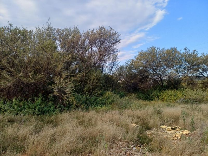 SMALL HOLDING. LANGENHOVENPARK.BEAUTIFUL TREES. EXCELLENT BUY. - Photo 6
