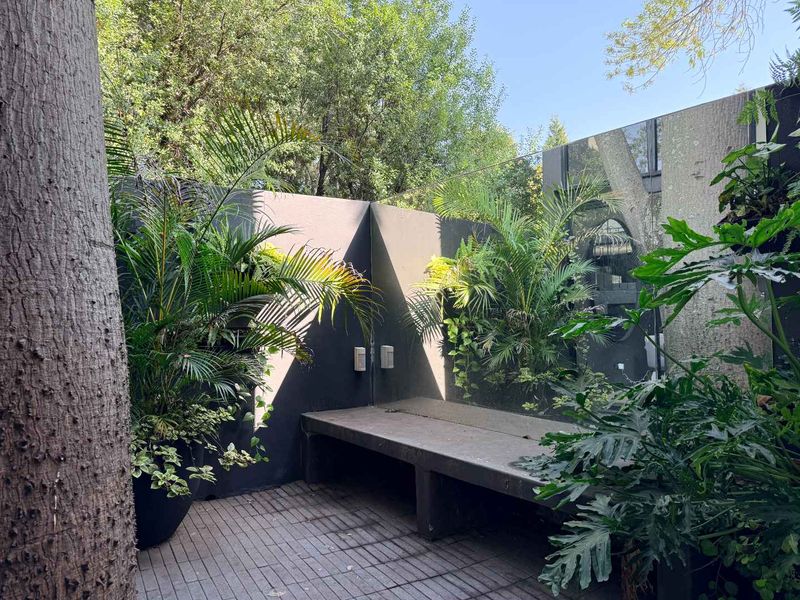 A modern outdoor patio area featuring a built-in concrete bench, glass balustrade, and paved flooring, surrounded by lush garden landscaping.