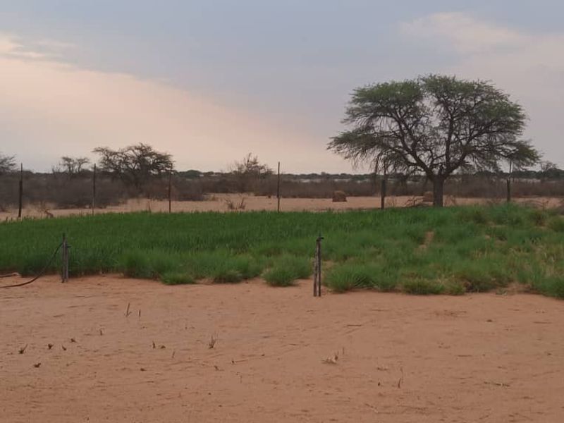 3326HA FARM GOCHAS (FOR SALE) BARGAIN - Photo 5