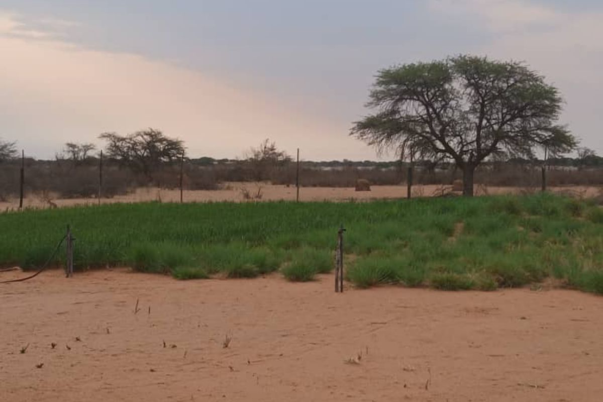 3326HA FARM GOCHAS (FOR SALE) BARGAIN - Photo 5