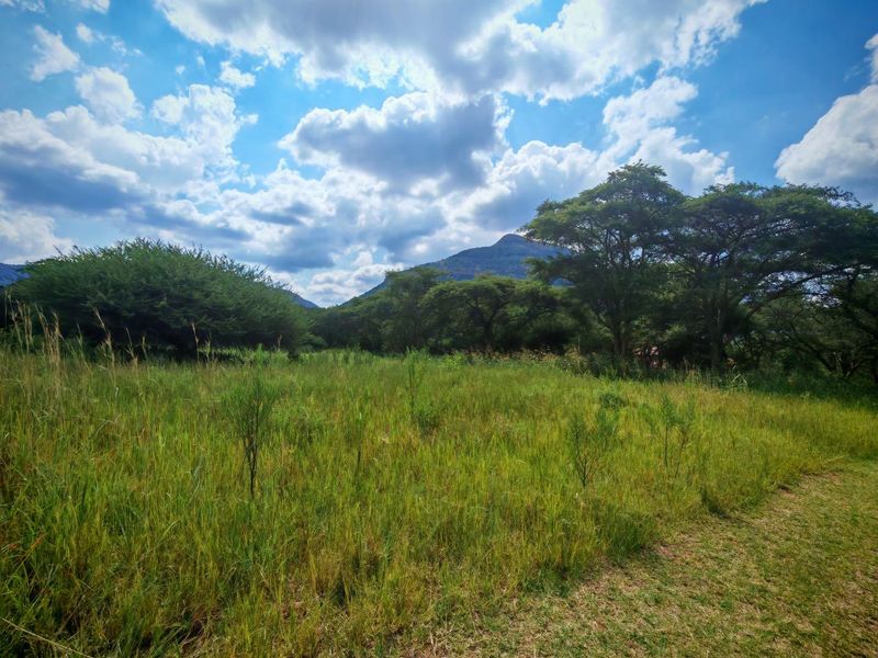 Vacant Stand in Sharalumbi Wildlife Estate - Photo 6