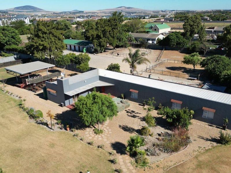 Pristine Smallholding – Lifestyle, Business & Investment Opportunity - Photo 2