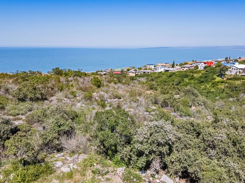 Elevated coastal view overlooking natural vegetation and the surrounding residential neighbourhood towards the ocean.