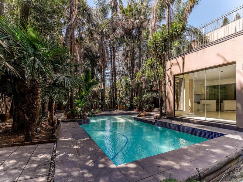 Exceptional, Expansive 6 Bedroom House with Separate Flatlet in Atholl - Photo 7