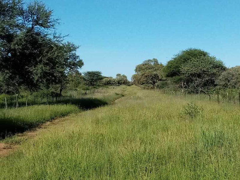 Otavi Agriculture Small Holding Plots - For Sale Now - Photo 5