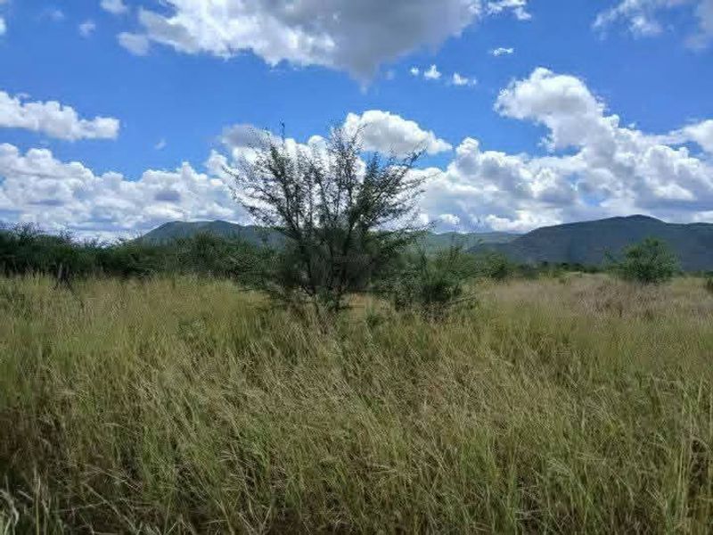 A scenic view of open agricultural land featuring native grasses, scattered shrubs, and distant mountain ranges under a clear blue sky.