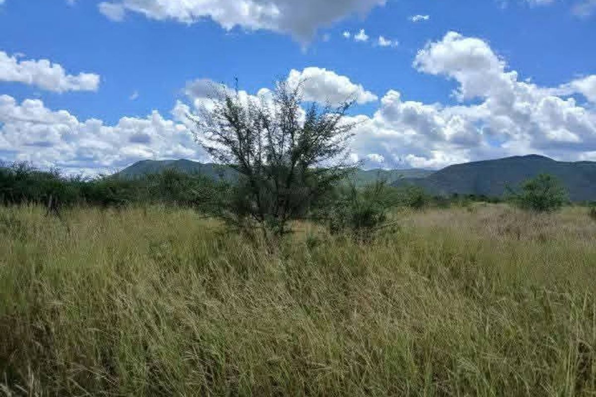 A scenic view of open agricultural land featuring native grasses, scattered shrubs, and distant mountain ranges under a clear blue sky.