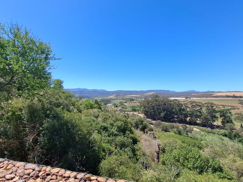 Serene Cul-de-Sac Living in Heidelberg Awaits! - Photo 2