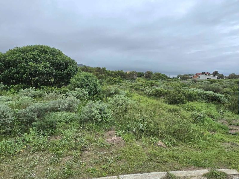 Mountain-View Stand in Popular Groenberg – Exceptional Coastal Investment - Photo 6