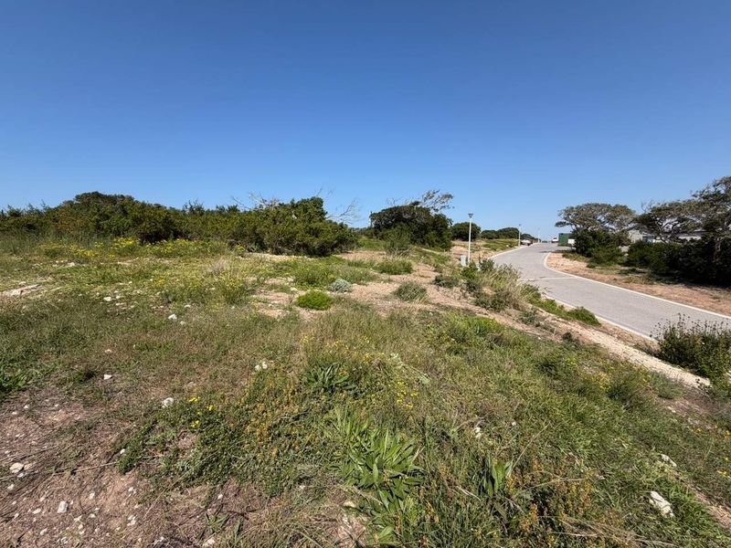 A view of a vacant residential plot adjacent to a paved street with established local vegetation and street lighting.