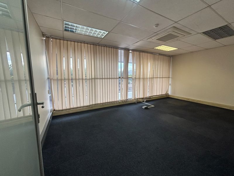 Empty office space featuring a suspended ceiling with recessed lighting, large windows with vertical blinds, and dark carpet flooring.