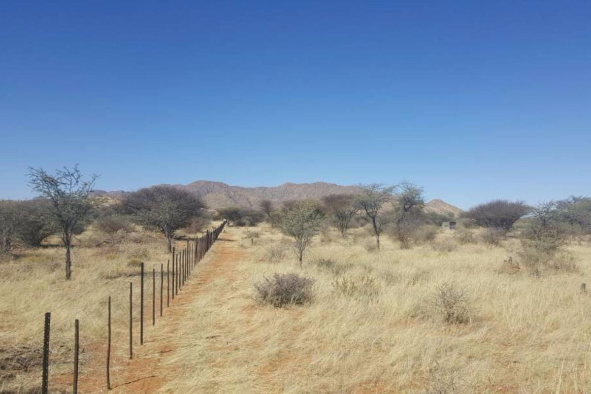 Smallholding South of Windhoek - Photo 2