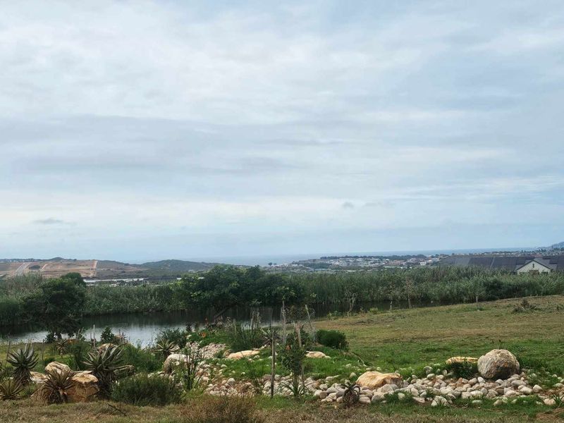 Live luxuriously in Outeniquasbosch Wildlife Estate - Photo 5