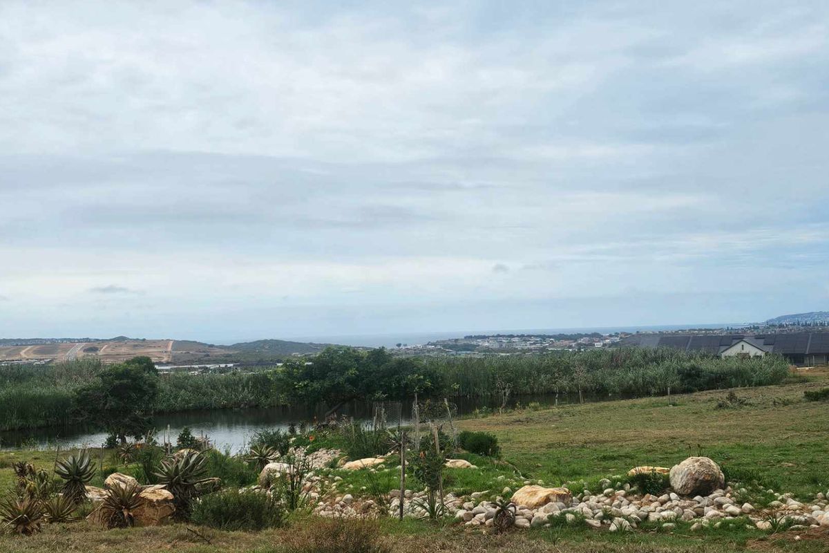 Live luxuriously in Outeniquasbosch Wildlife Estate - Photo 5