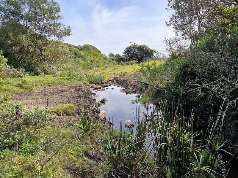 Prime 262ha Agricultural Farm for Sale Near Hartenbos - Photo 8