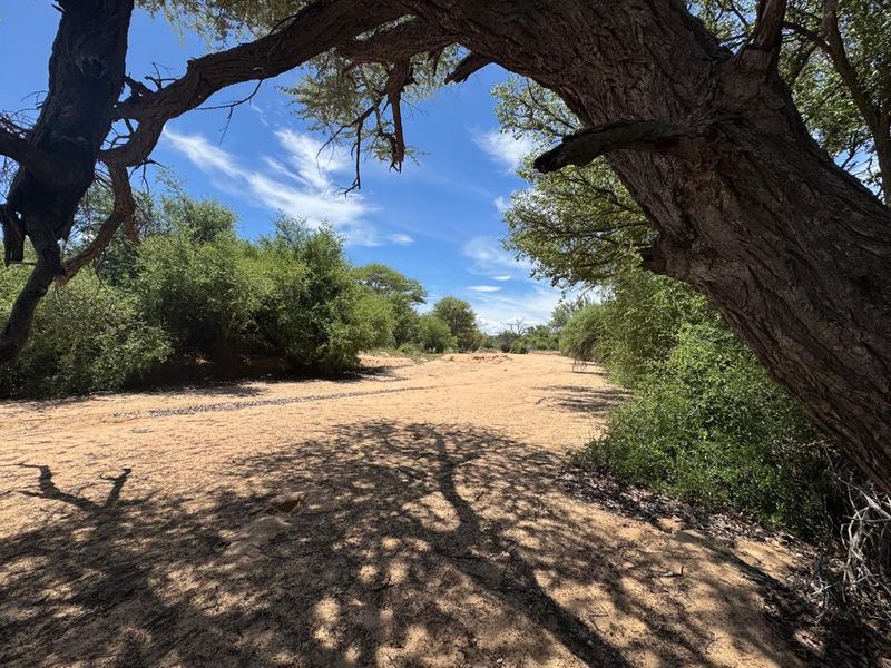 A scenic view of a dry sandy riverbed framed by mature indigenous trees on a farm property.