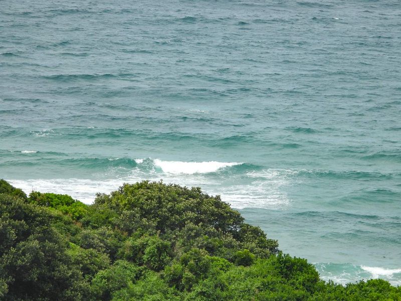 Seaton Magic with Seaviews - Photo 6