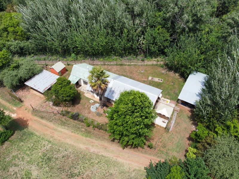 Income-Generating Smallholding with Water Security and Development Potential - Photo 5