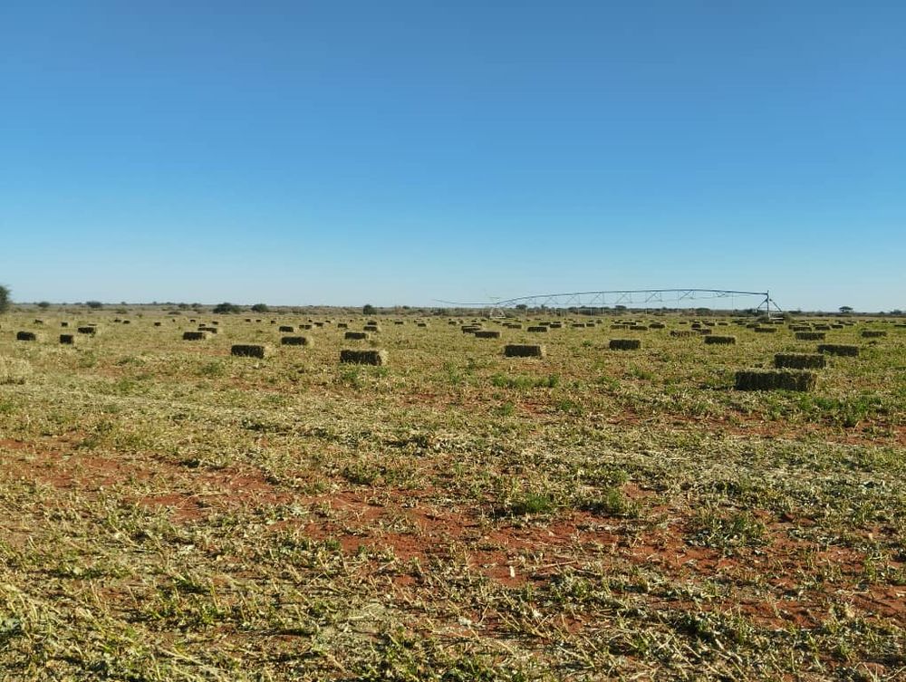 overview of farm land